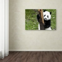 Zaštitni znak likovna umjetnost Giant Panda Vi Canvas Art by Philippe Hugonnard