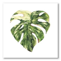 Tropska zelena lišća na bijeloj ljeto III Slikanje platna Art Print