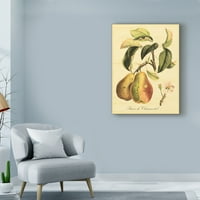 Zaštitni znak likovna umjetnost 'sitni toskanski voće iv' canvas art by vision Studio