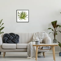 Stupell Industries sočna biljka aloe biljka šiljat lišće Sažetak ljestvice boja, 30, dizajn Jennifer Paxton Parker