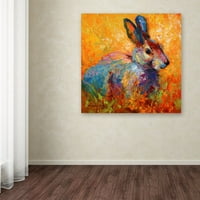 Zaštitni znak likovna umjetnost 'Bunny IV' platno umjetnost Marion Rose