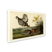 Zaštitni znak likovna umjetnost 'Pinnited Grouseplater 186' platno umjetnost Audubona