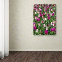 Zaštitni znak likovna umjetnost Tulips Canvas Art by Kurt Shaffer
