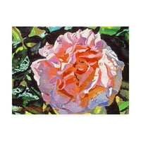 Zaštitni znak likovna umjetnost 'živopisni ružičasti cvjetanje' platno umjetnost Davida Lloyda Glovera