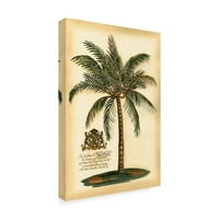 Zaštitni znak likovne umjetnosti 'Britanski kolonijalni Palm III' Canvas Art by Vision Studio