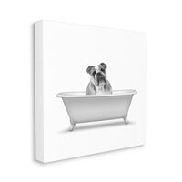 Stupell Industries English Bulldog Dog Bath Capka Grafička umjetnička galerija zamotana platna za tisak zidne umjetnosti,