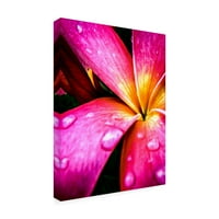 Rotem Ganor 'Pink Over Yellow' Canvas Art