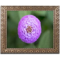Zaštitni znak likovna umjetnost Purple Flower platno umjetnost Jason Shaffer, zlatni ukrašeni okvir