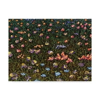 Zaštitni znak likovne umjetnosti 'Wildflowers in Field' platno umjetnost Jamesa W. Johnsona