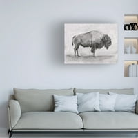 Emma Scarvey 'Studija divljeg bizona I' platno umjetnost