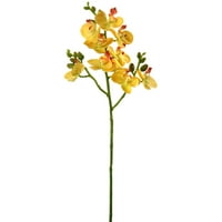 Mini Phaleanopsis sprej 20 - žuto