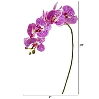 Gotovo prirodno 30in. Phalaenopsis Umjetni cvijet orhideja, ljubičasta krema