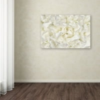 Zaštitni znak likovna umjetnost 'Cvijet bijelog božura' platno umjetnost Cora Niele