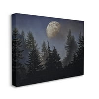 Noćni nebo mjesec iznad drveća Fotogalerija zidni ispis na omotanom platnu, dizajn Mindi Sommers