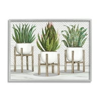 Stupell Industries Modern Aloe Plant Trio dnevni boravak Still Life, 16, dizajn Cindy Jacobs