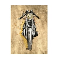 Annie Warren 'Metallic Rider I' Canvas Art