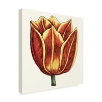 Zaštitni znak likovne umjetnosti 'Tulip Garden IV' Canvas Art by Vision Studio