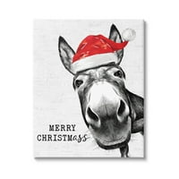 Stupell Industries Merry Christmass Smiješno magarac grafička umjetnička galerija zamotana platna za tisak zidne