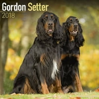 Kalendar Gordon Setter - kalendar pasmine pasa - kalendar zida 2017-