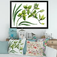 DesignArt 'Green Orchid Flowers on White' Tradicionalni uokvireni umjetnički tisak