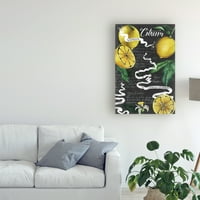 Zaštitni znak likovna umjetnost 'chaldboard citrus i' canvas art by Grace Popp