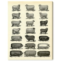 Wynwood Studio životinje zidne umjetničko platno ispisuje domaće životinje s ovcama i svinjama - crno, smeđe