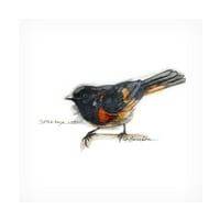 Bruce Dean 'Songbird Study IV' Canvas Art