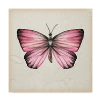 Zaštitni znak likovna umjetnost 'Studija leptira IV' platno umjetnost Melissa Wang