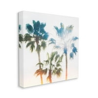 Stupell Industries Tropska ljetna izmaglica palmi s dizajnom sunca Ryan Hartson-Weddle, 30 30