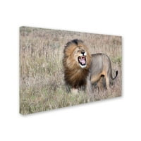 Zaštitni znak likovna umjetnost 'lavova' platna umjetnost alessandro catta